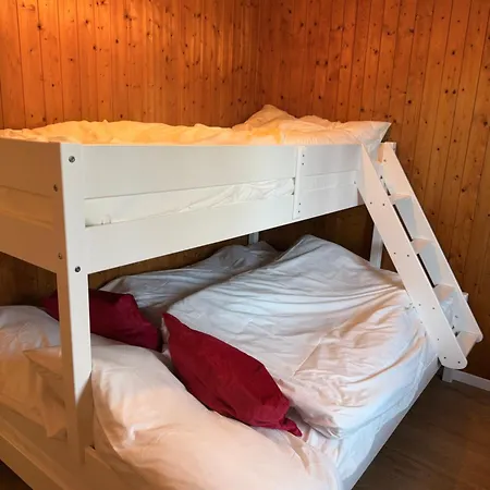 Chalet House With Alps View 10 Min From *